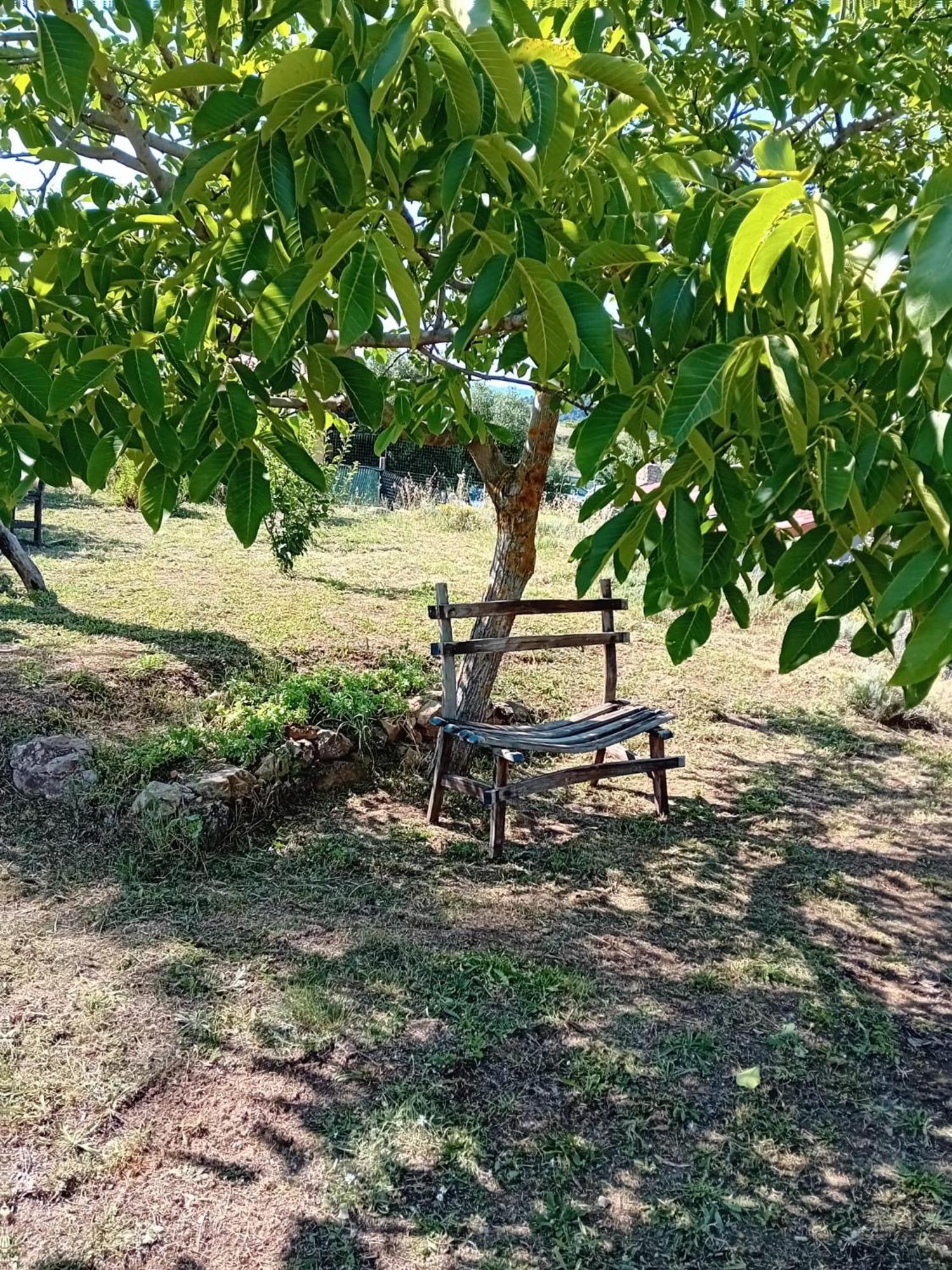 Bed and Breakfast Lugori Seulo Екстер'єр фото