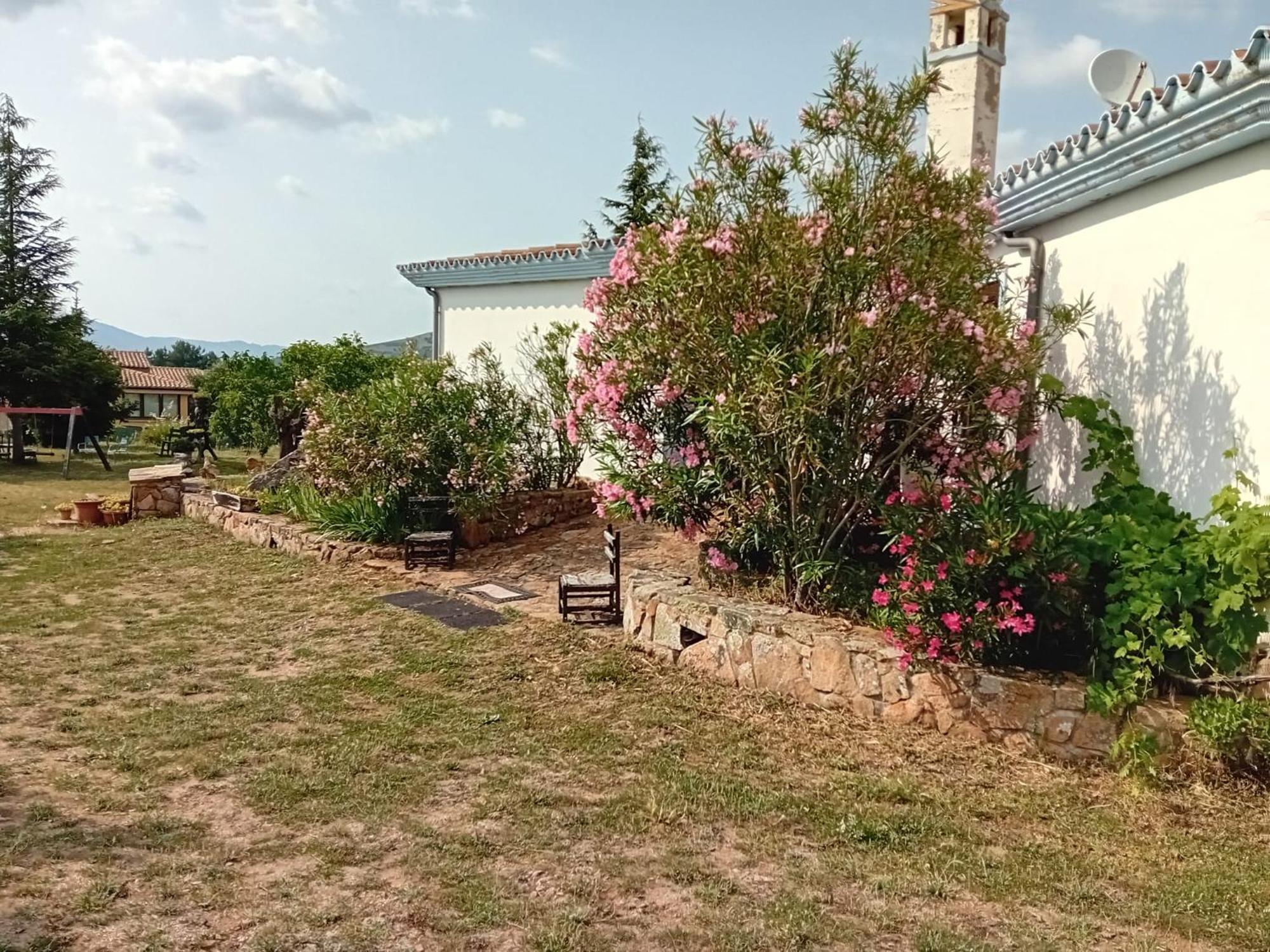 Bed and Breakfast Lugori Seulo Екстер'єр фото
