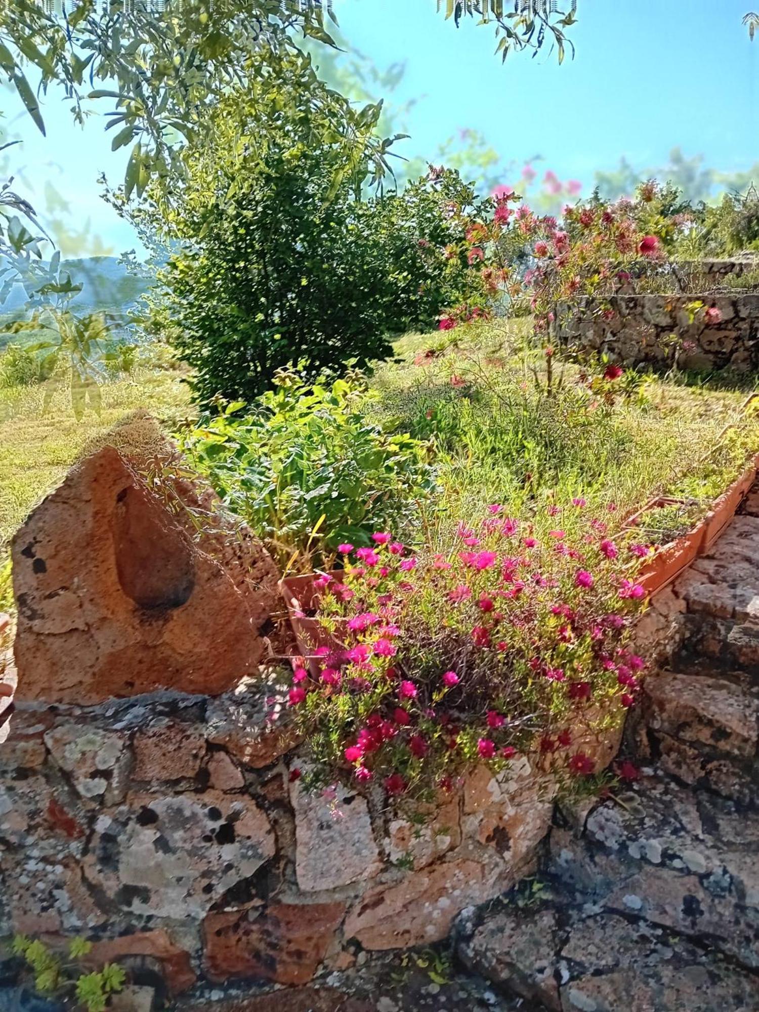 Bed and Breakfast Lugori Seulo Екстер'єр фото