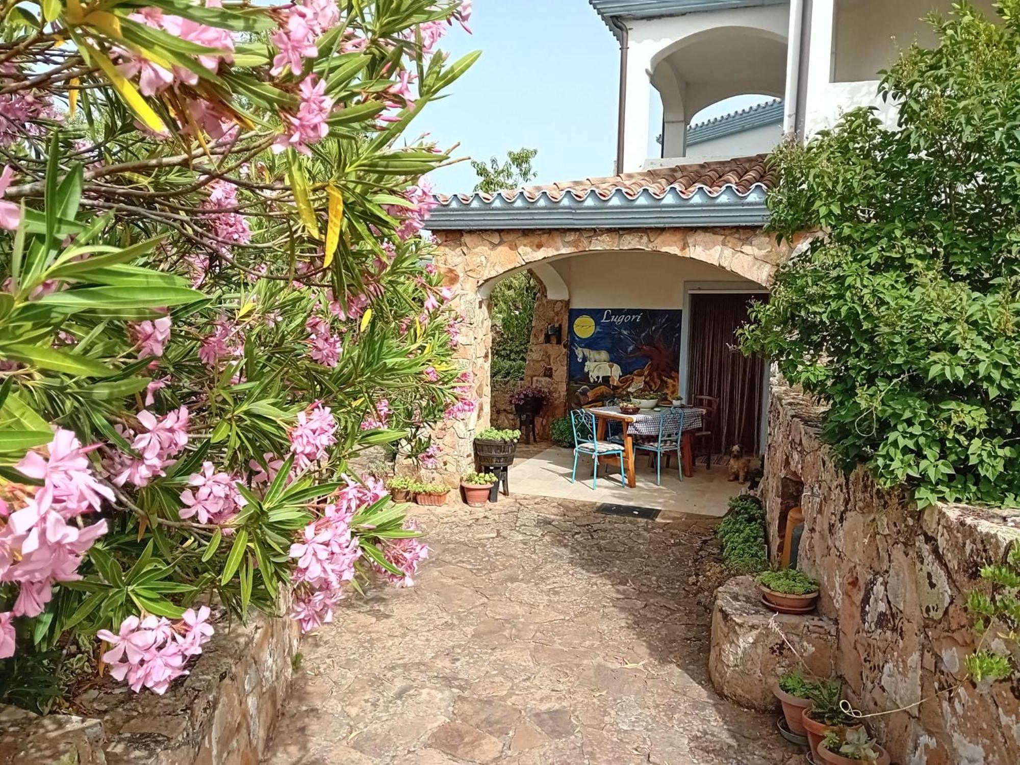Bed and Breakfast Lugori Seulo Екстер'єр фото