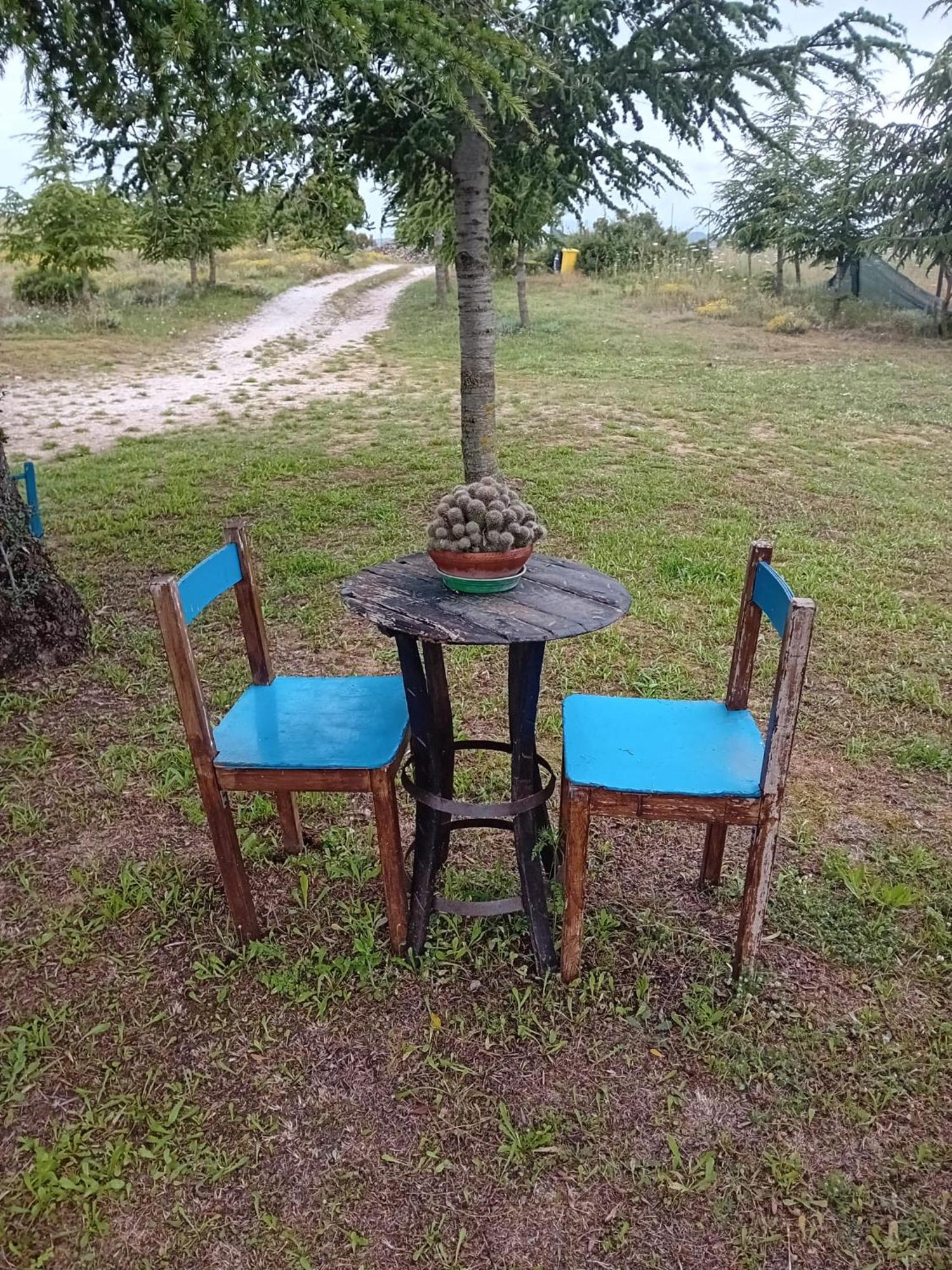 Bed and Breakfast Lugori Seulo Екстер'єр фото